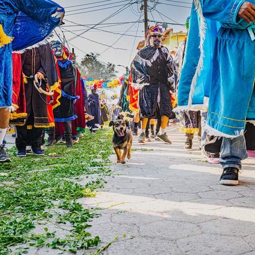 Photo #13061905