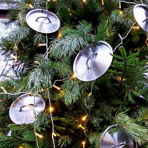 Photo #13061975