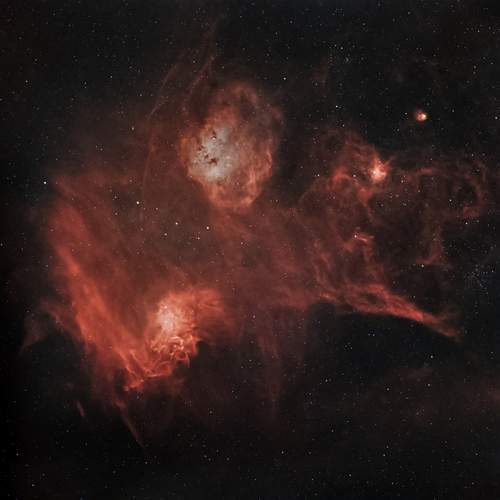 Photo #13062005