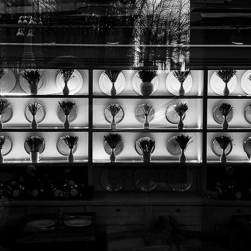 Photo #13062070