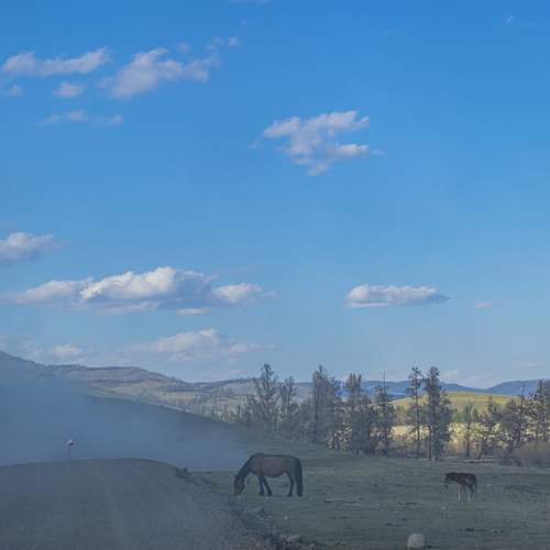 Photo #13062116