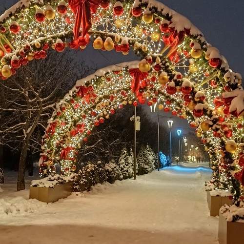 Photo #13062282