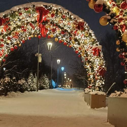 Photo #13062286