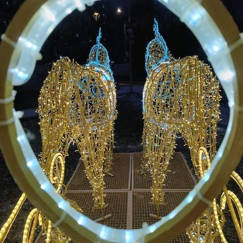Photo #13062288