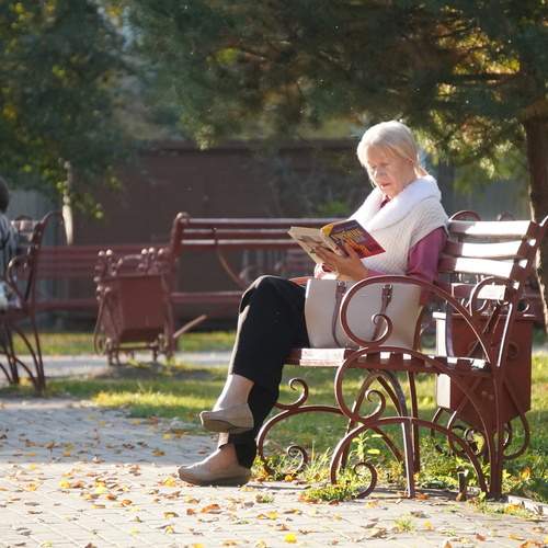 Photo #13062336