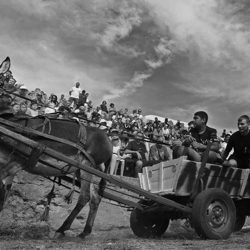 Фотография #13062734