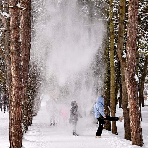 Photo #13063177