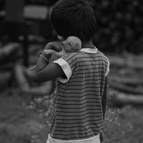 Photo #13063365