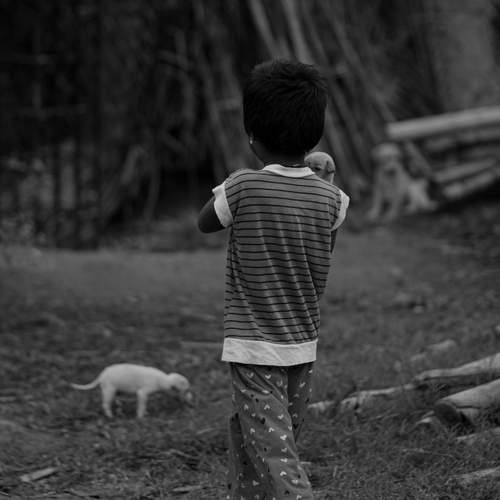 Photo #13063396