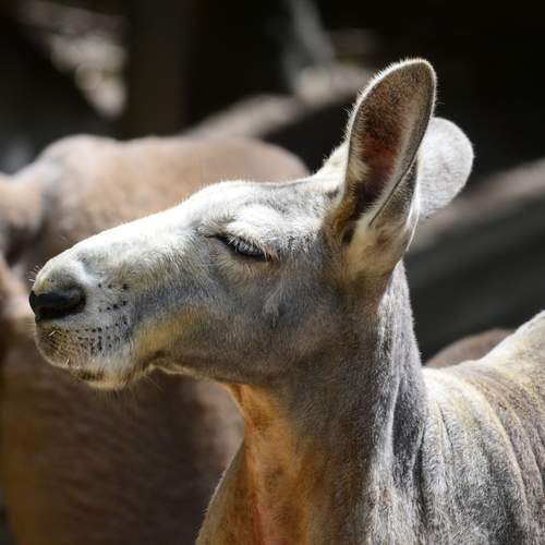 Photo #13063404