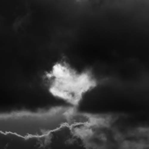 Photo #13063411
