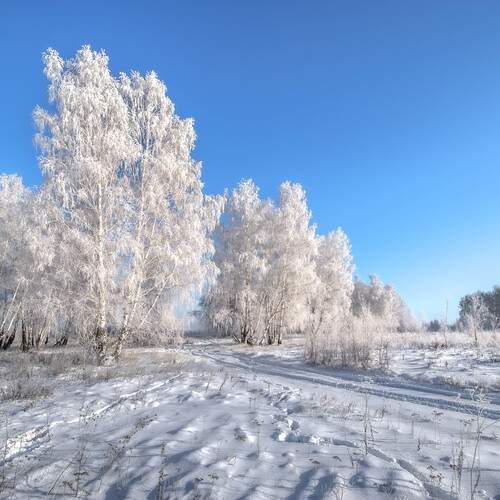 Photo #13063446