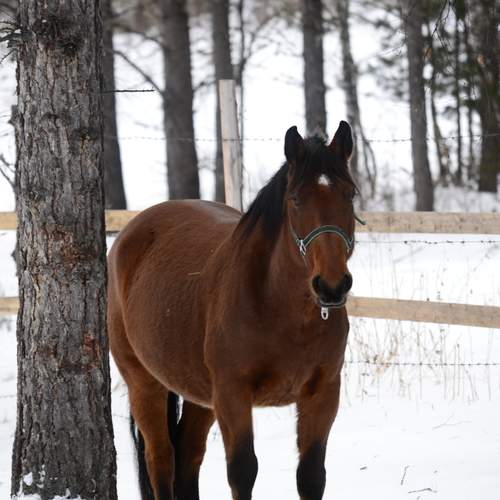 Photo #13063461