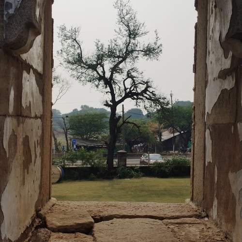 Photo #13063686