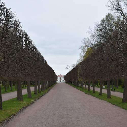 Photo #13063757