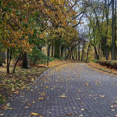 Photo #13063759