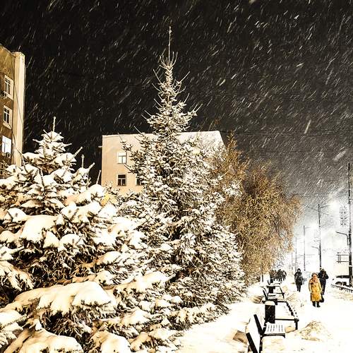 Photo #13063816