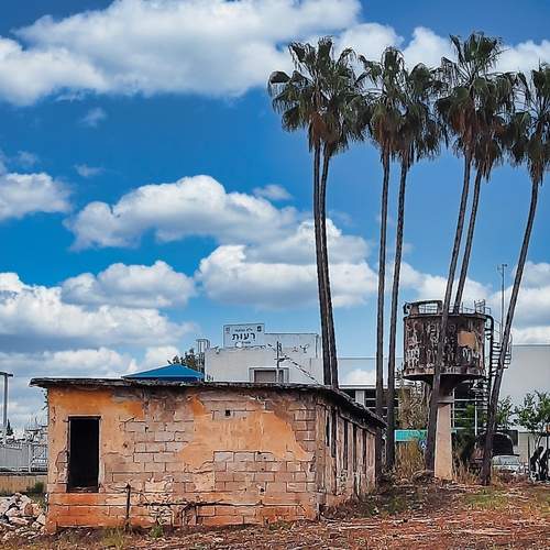 Три пальмы...