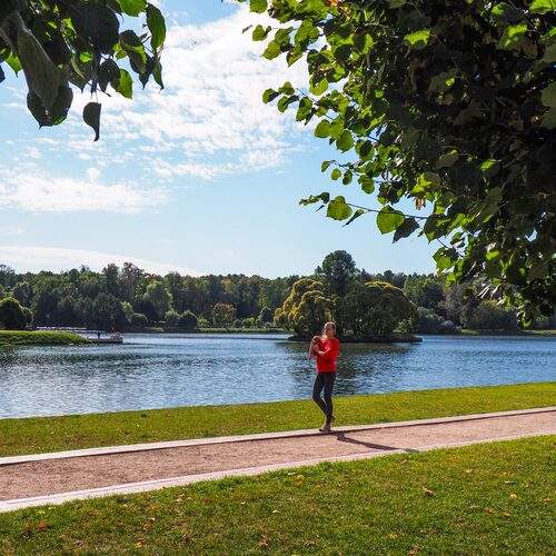 Photo #13064058