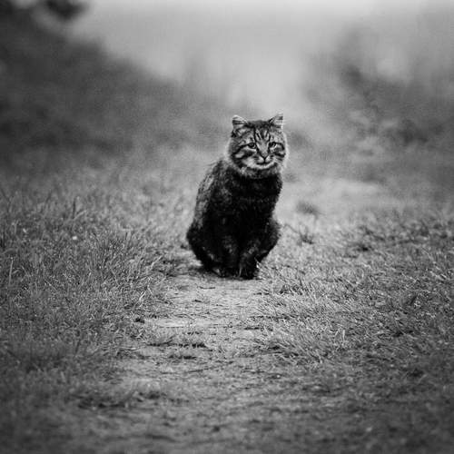 Photo #13064228