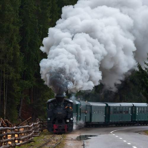 Photo #13064244