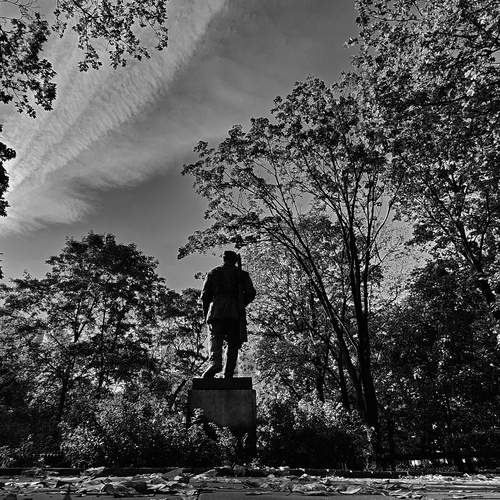 Photo #13064261