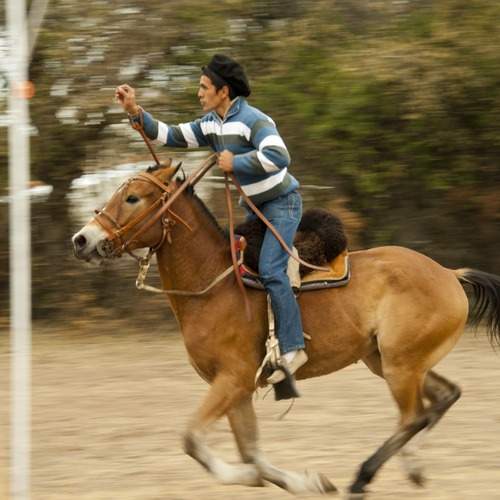 Photo #13064476