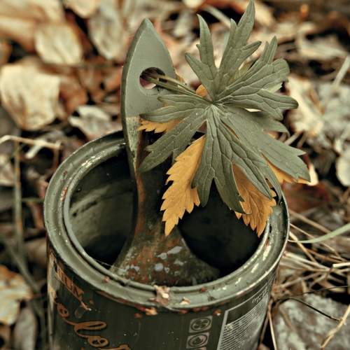 Photo #13064594
