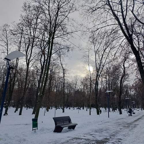 Photo #13064597