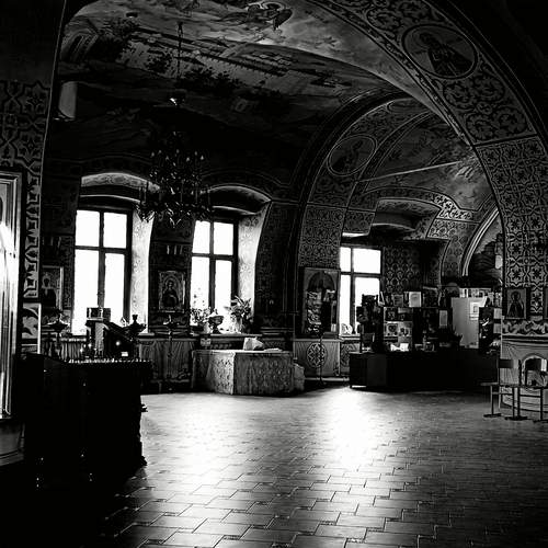 Photo #13064646