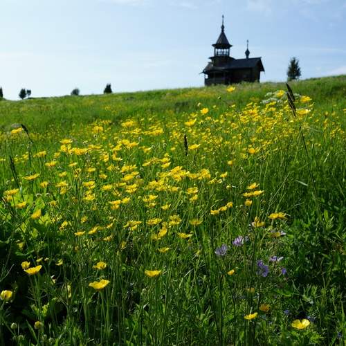Photo #13064680