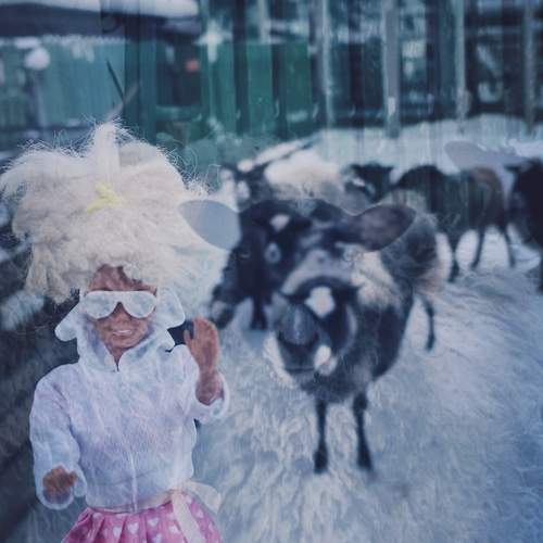 Photo #13064714