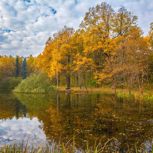 осенние зарисовки