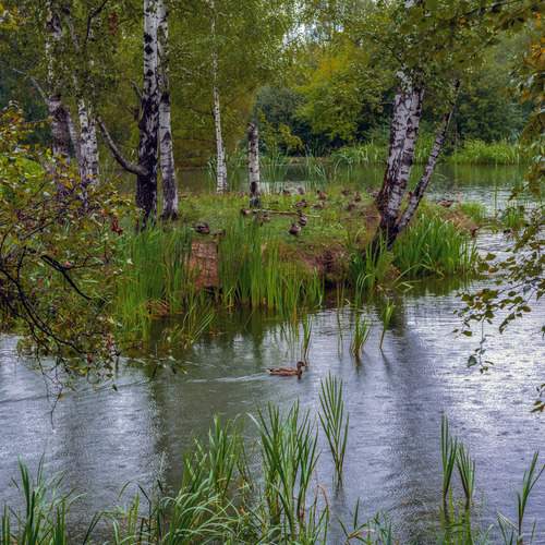 осень в  парке