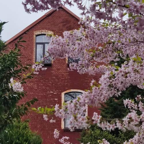 Photo #13064946