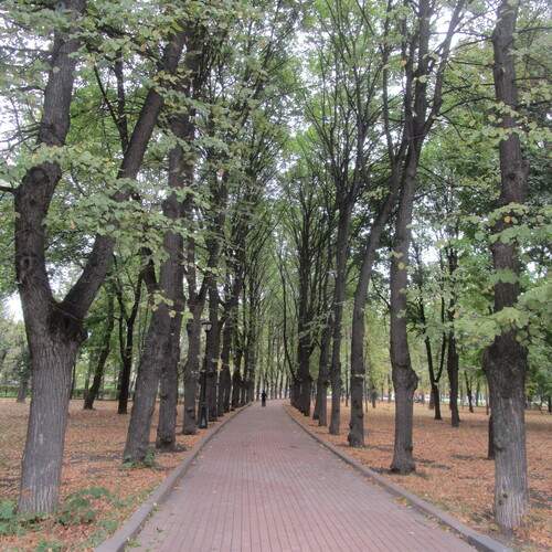 Photo #13064987