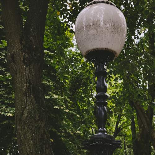 Photo #13065004
