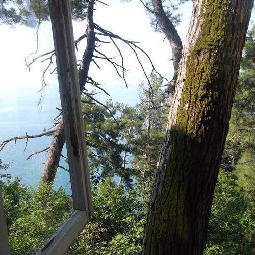 Photo #13065257