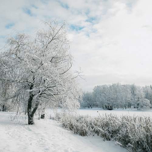 Photo #13065311