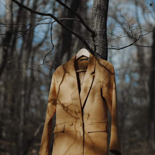 Фотография #13065391