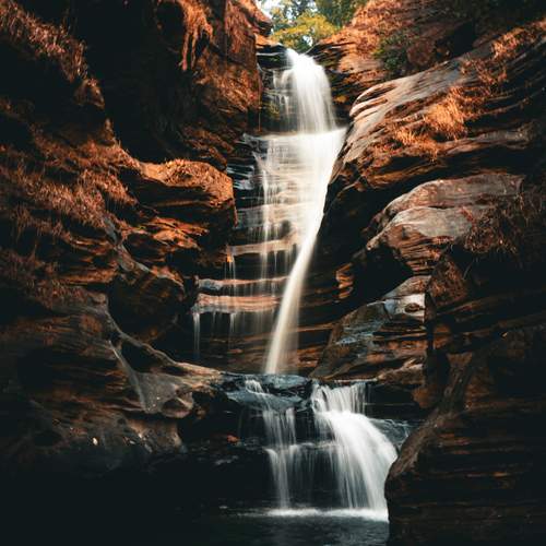 Photo #13065490