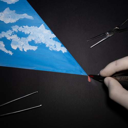 Photo #13065545
