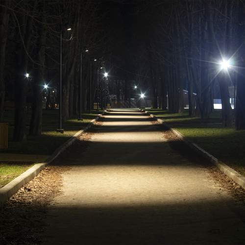 Photo #13065846