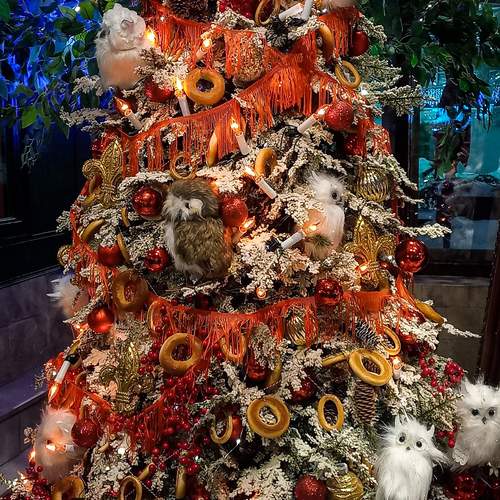 Photo #13065862