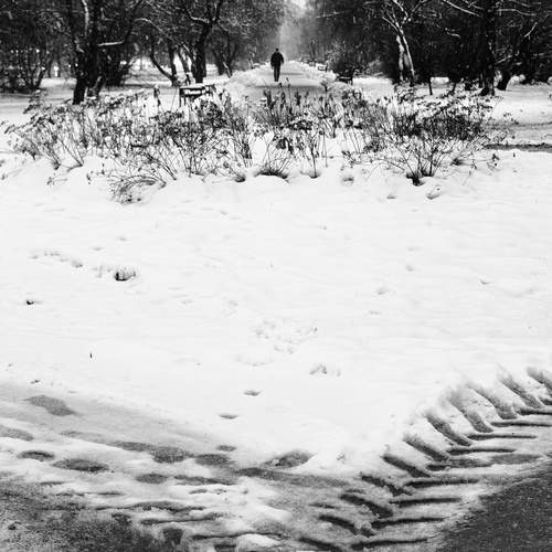Photo #13066016