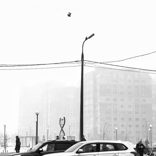 Photo #13066051