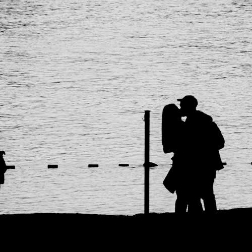 Photo #13066155