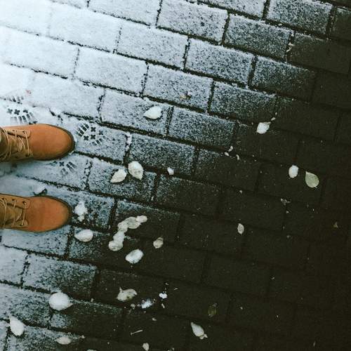 Фотография #13066330