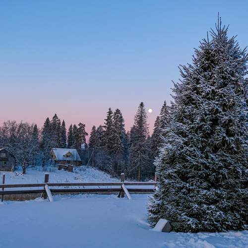 Photo #13066383