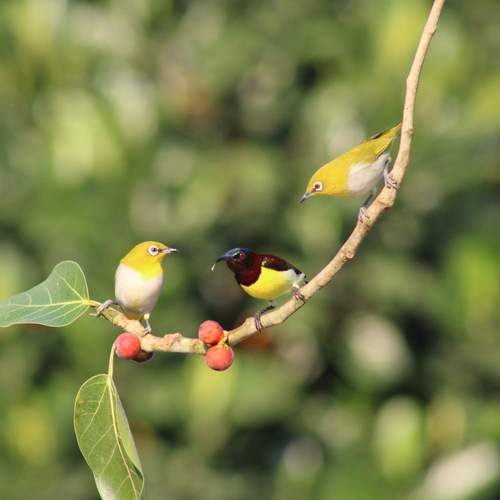 Photo #13066427